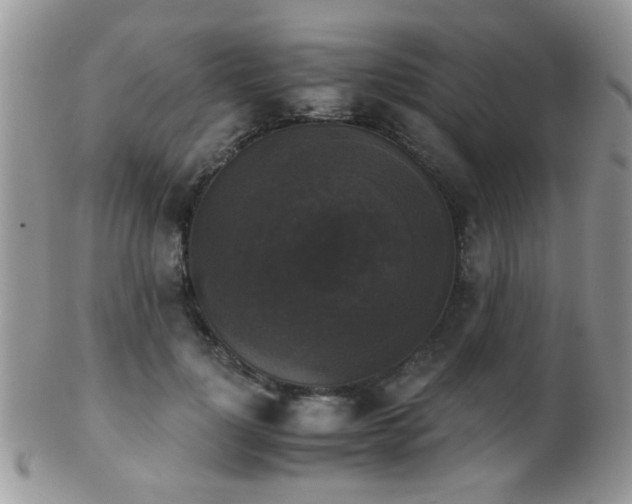 X0000102240748200807251259