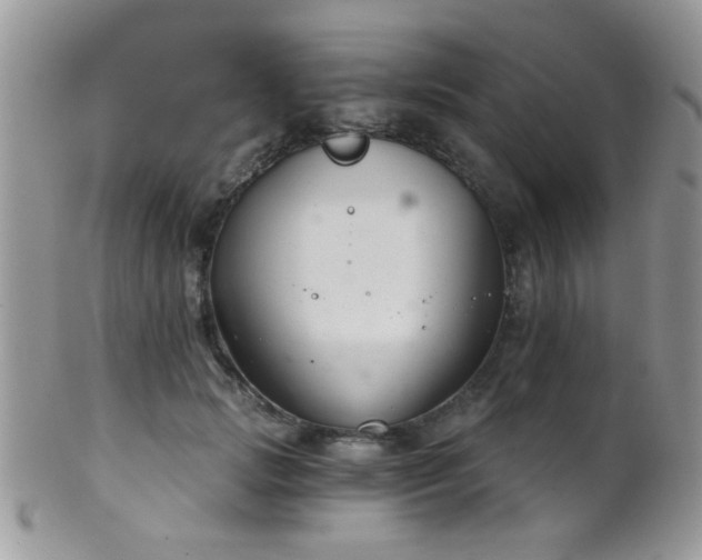 X0000102240749200807251259