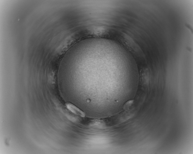 X0000102240750200807251259