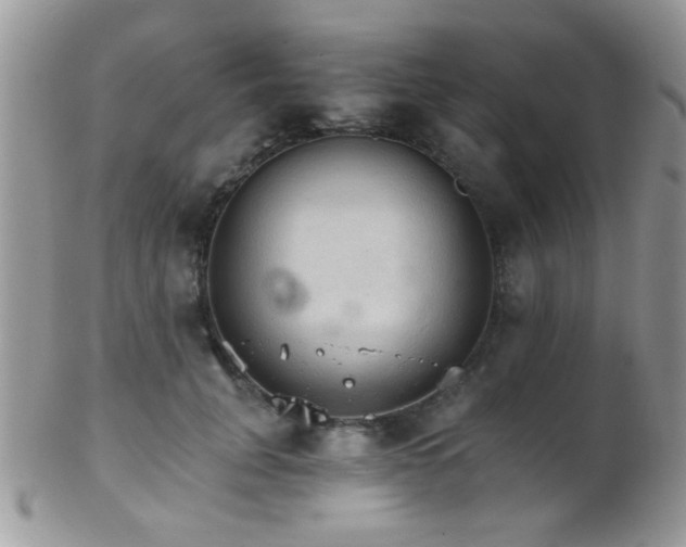 X0000102240751200807251259