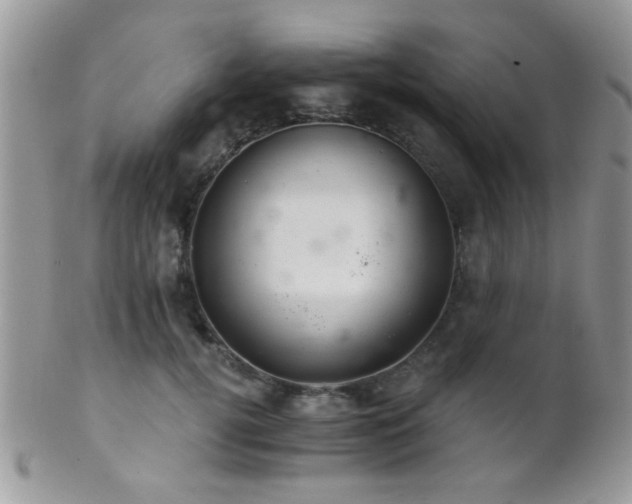 X0000102240752200807251259