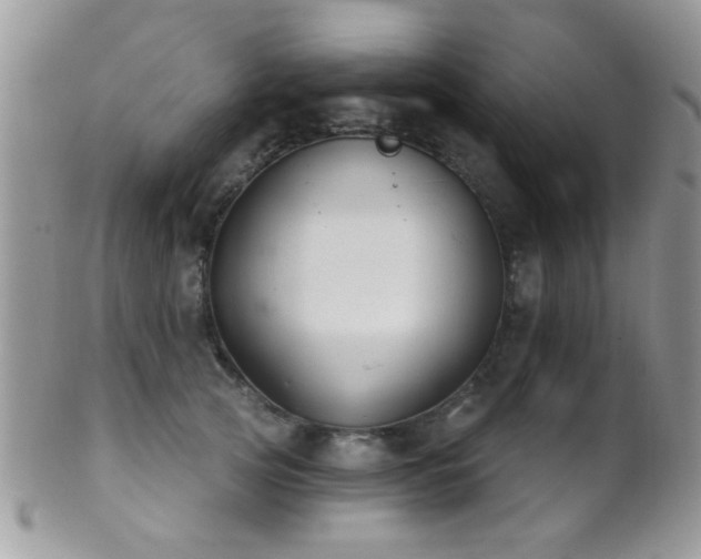 X0000102240753200807251259