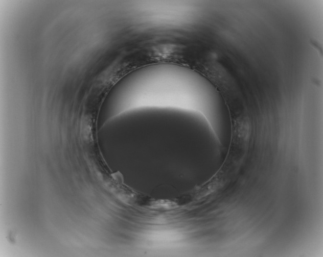 X0000102240754200807251259