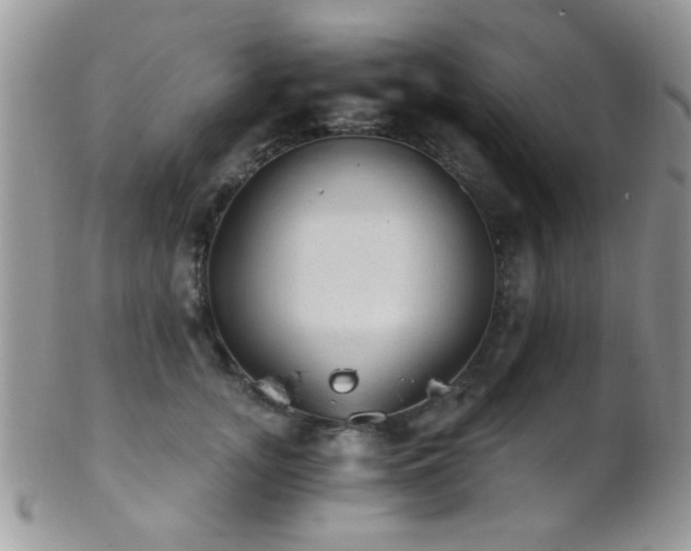 X0000102240755200807251259