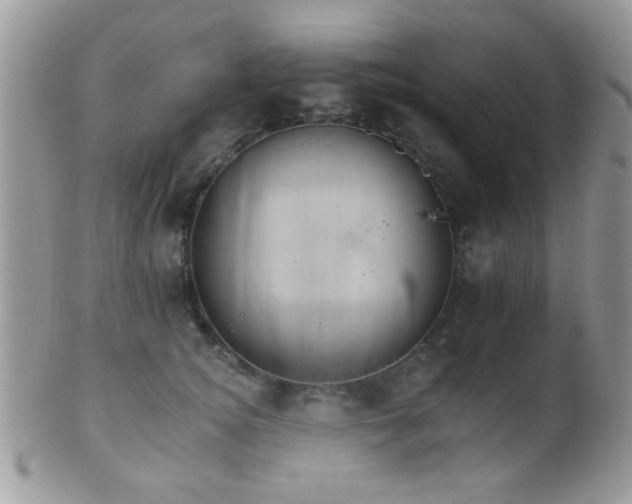 X0000102240756200807251259