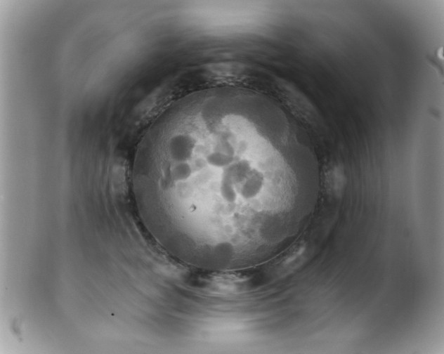 X0000102240757200807251259