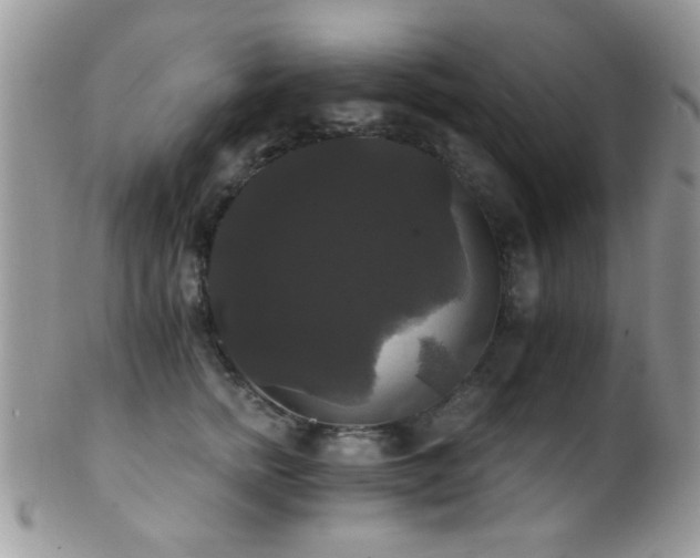 X0000102240758200807251259