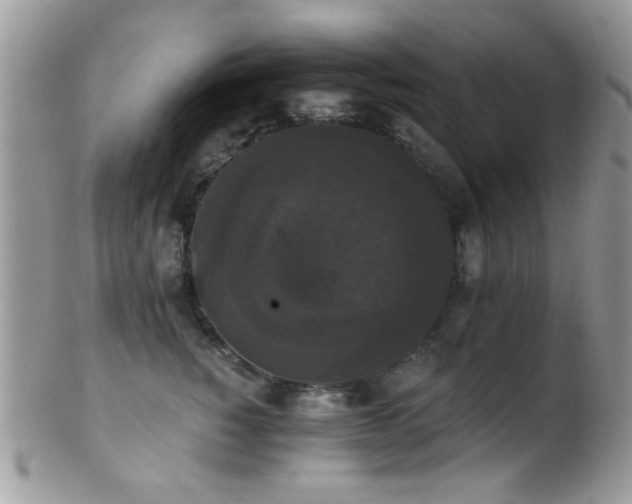 X0000102240760200807251259