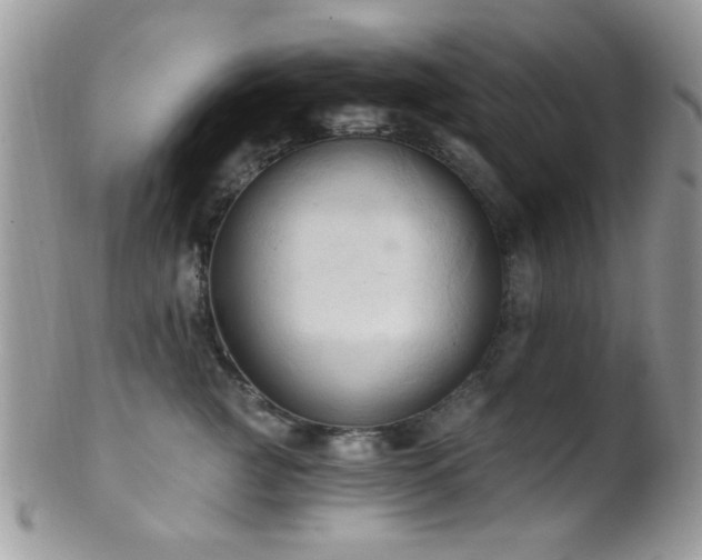 X0000102240761200807251259