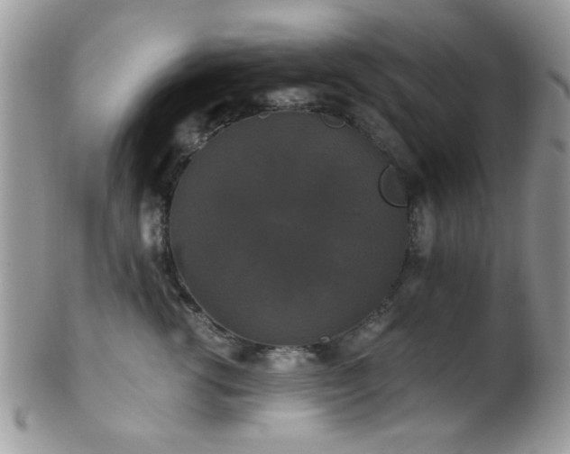 X0000102240762200807251259