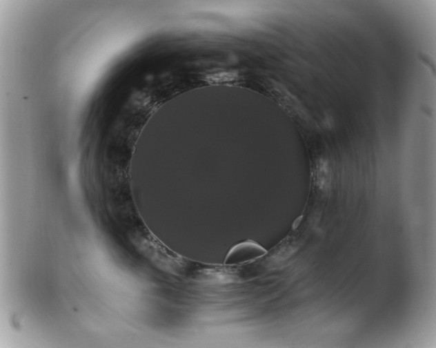 X0000102240763200807251259