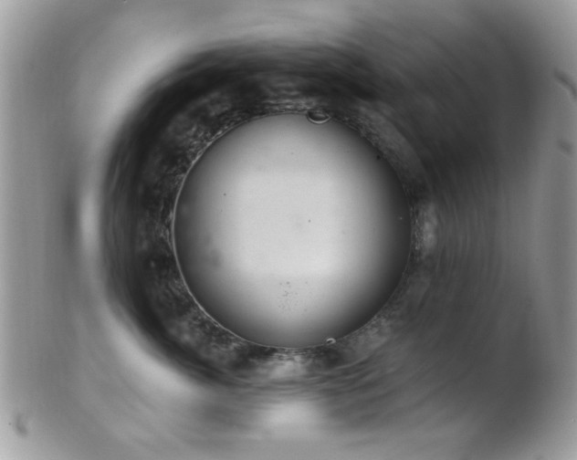 X0000102240764200807251259