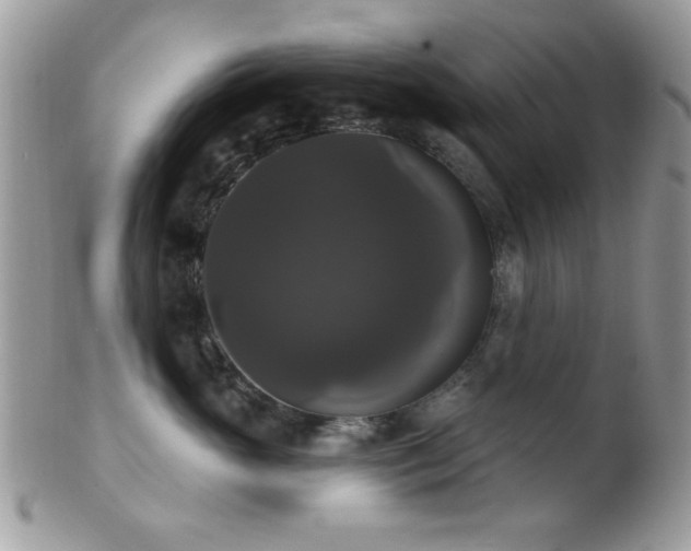 X0000102240765200807251259