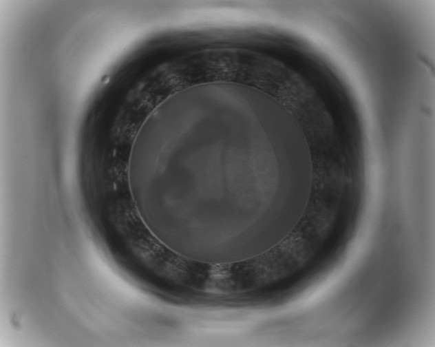 X0000102240766200807251259