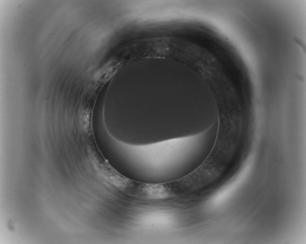 X0000102240767200807251259