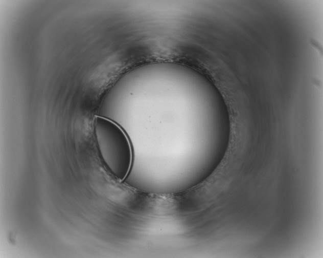 X0000102240768200807251259