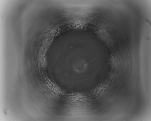 X0000102240769200807251259