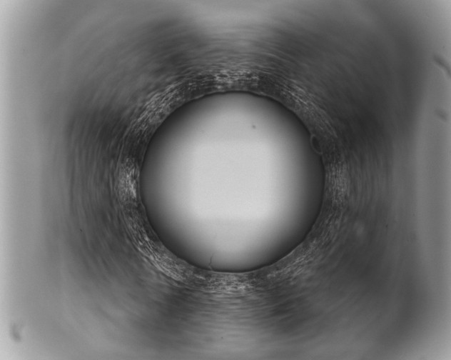 X0000102240770200807251259