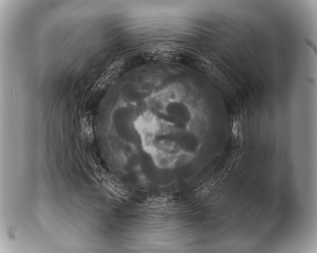 X0000102240771200807251259