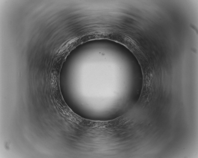 X0000102240773200807251259