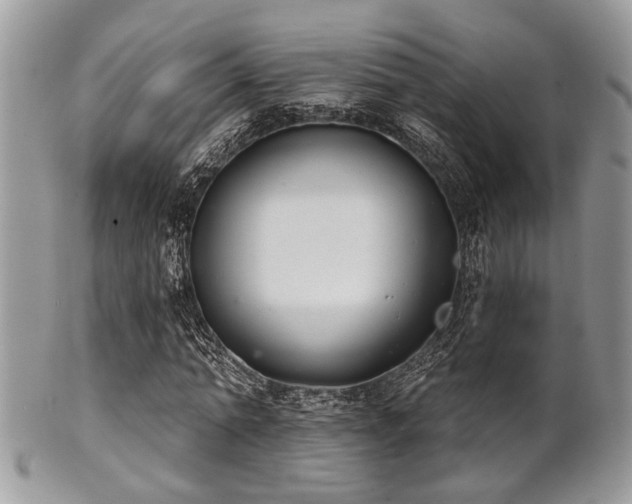 X0000102240774200807251259