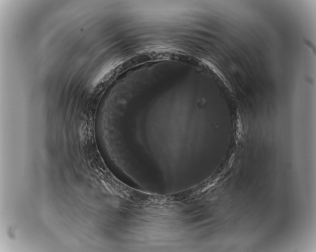 X0000102240775200807251259