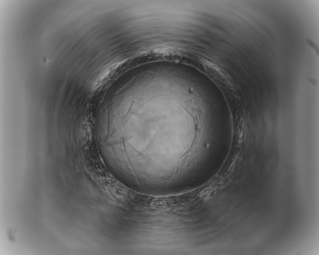 X0000102240776200807251259