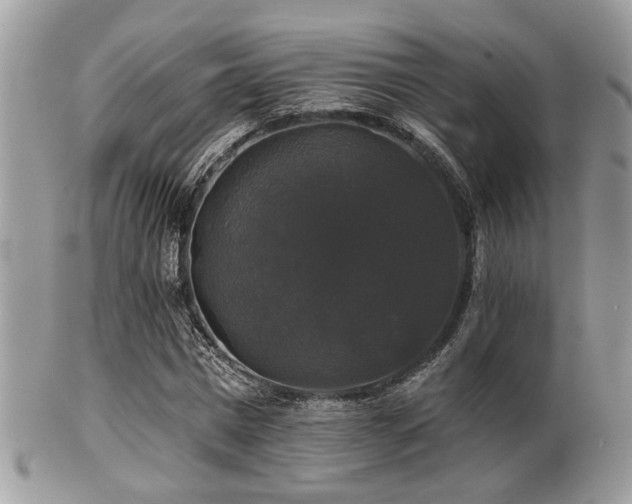 X0000102240777200807251259