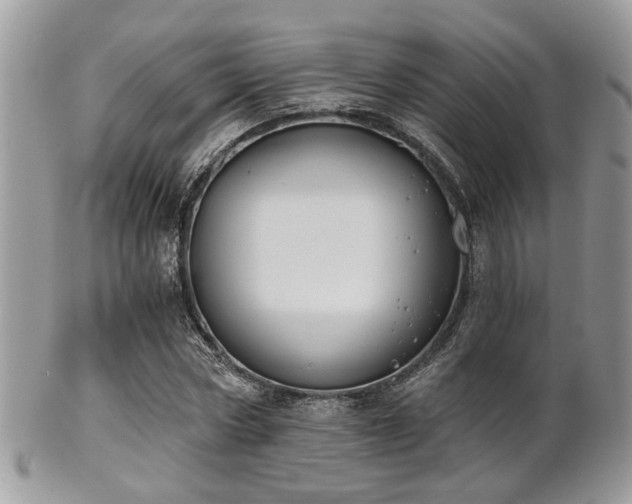 X0000102240778200807251259