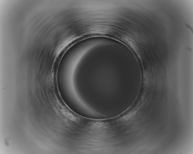 X0000102240779200807251259