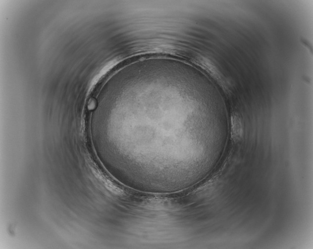 X0000102240780200807251259