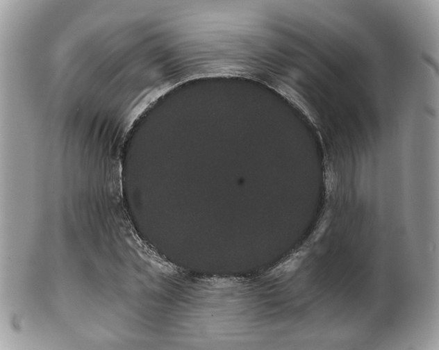 X0000102240781200807251259