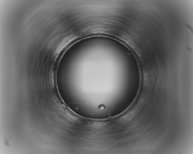 X0000102240782200807251259