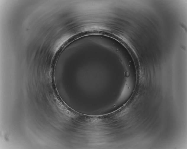 X0000102240783200807251259