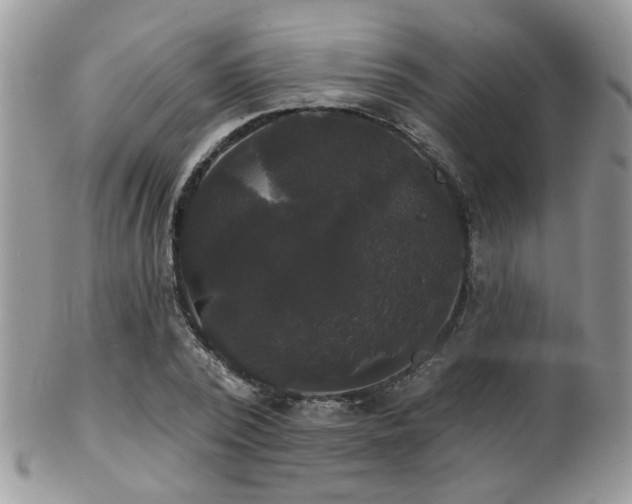 X0000102240784200807251259