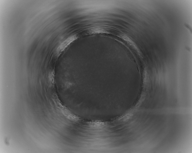 X0000102240785200807251259