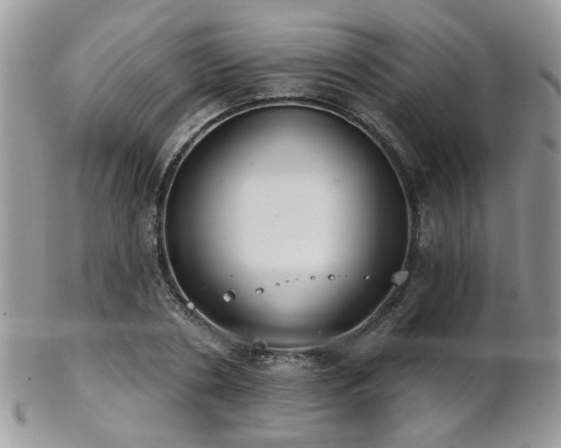 X0000102240786200807251259