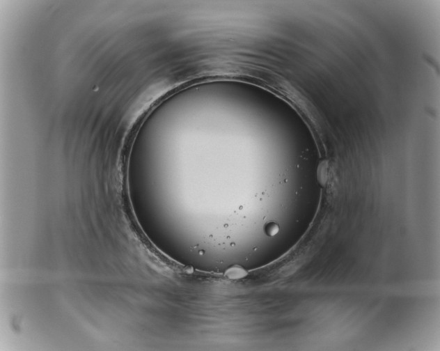 X0000102240787200807251259