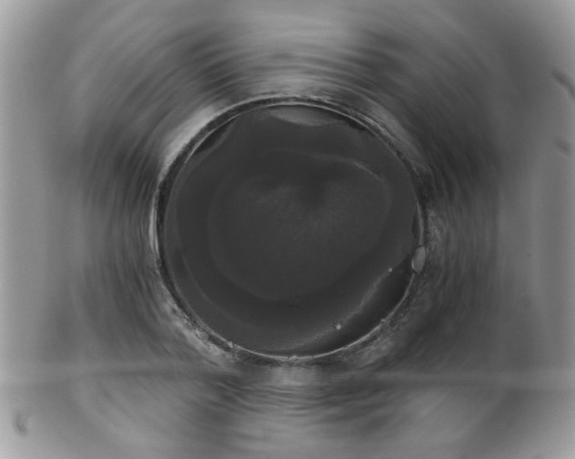 X0000102240788200807251259