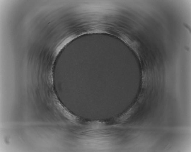 X0000102240789200807251258