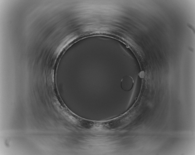 X0000102240790200807251258