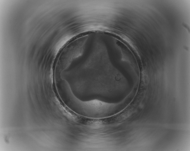 X0000102240791200807251258