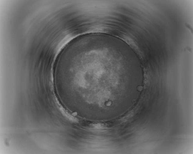 X0000102240792200807251258