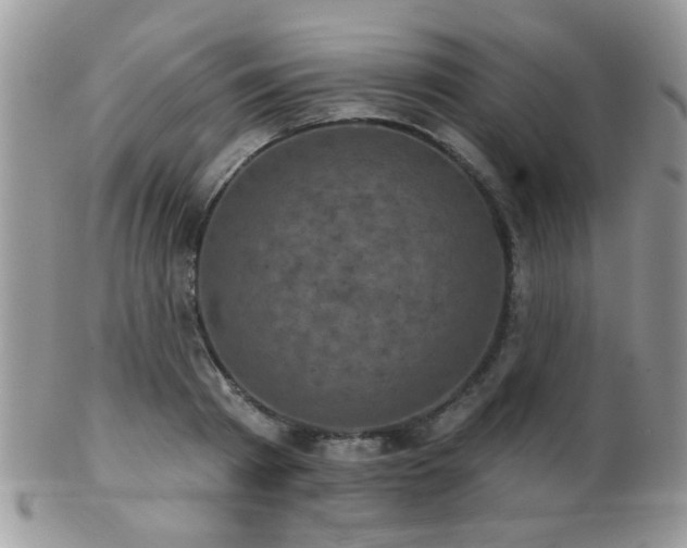 X0000102240793200807251258