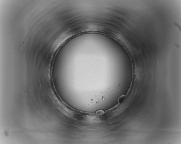 X0000102240794200807251258