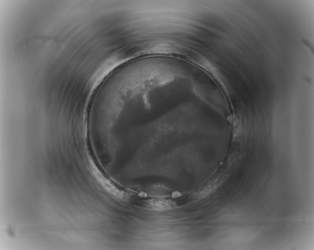 X0000102240795200807251258