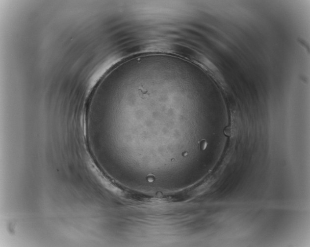 X0000102240796200807251258