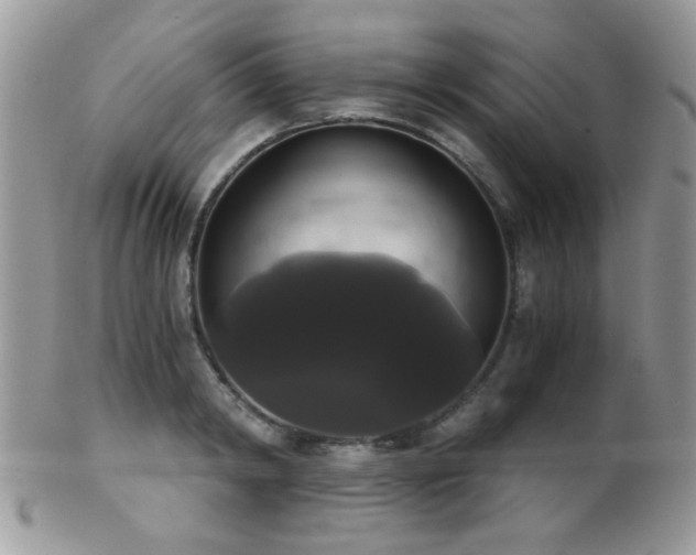 X0000102240798200807251258