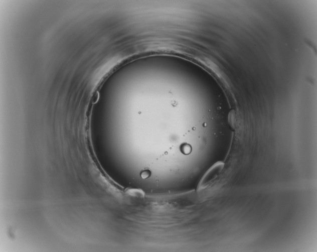 X0000102240799200807251258