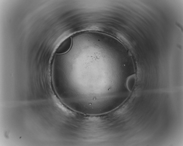 X0000102240800200807251258